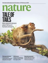 Cover image for Super-additive cooperation