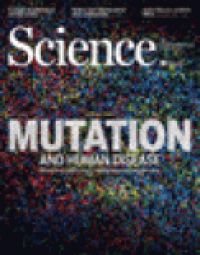Cover image for Female genital cutting is not a social coordination norm